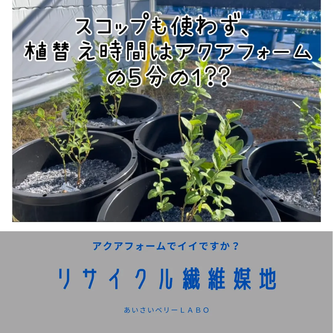 リサイクル繊維媒地で植付け