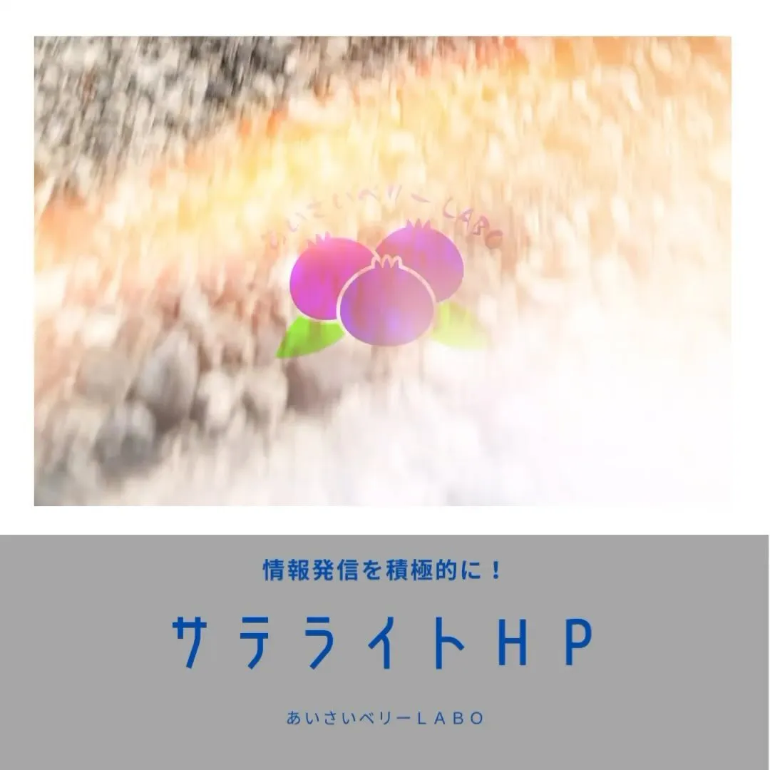 あいさいベリーＬＡＢＯでは、営業活動の活性化と積極的な情報発...